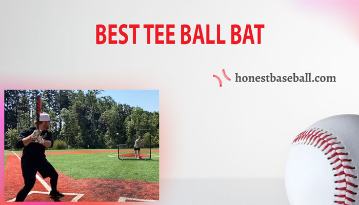 10 Best Tee Ball Bat in 2022 | Honest Baseball