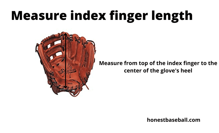 Measure index finger length to know hand size for baseball glove