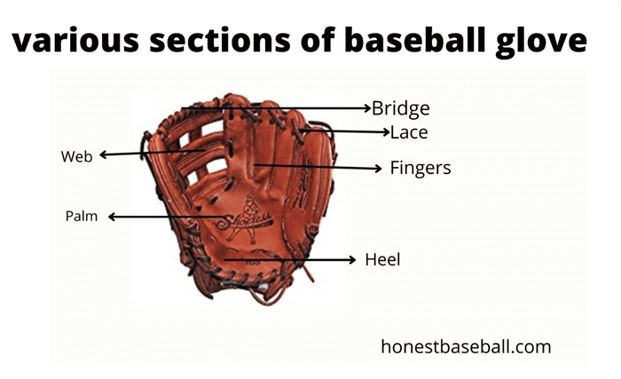 measure hand size for baseball glove to select right one