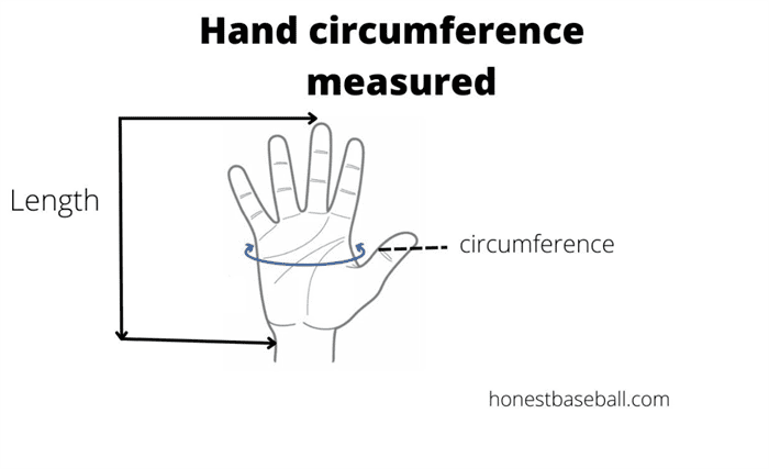 Baseball Gloves Size measurement with hand circumference