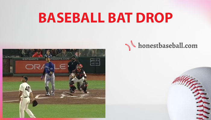 baseball bat drop