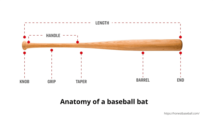 anatomy of a baseball bat