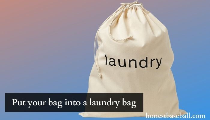 Put your bag into a laundry bag