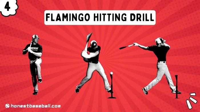 Flamingo Hitting Drill In Baseball