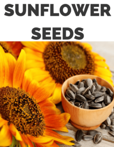 Why Do Baseball Players Eat Sunflower Seeds | Major 3 Reasons Behind it