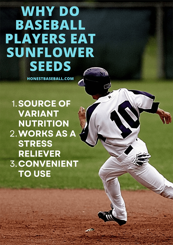 3 reasons behind why do baseball players eat sunflower seeds