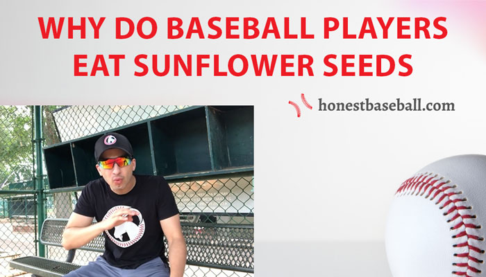 why do baseball players eat sunflower seeds
