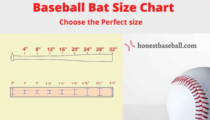 Baseball Bat Size Chart: Bat Sizes & Dimensions by League