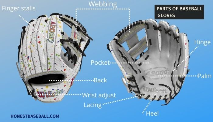 Parts of baseball gloves