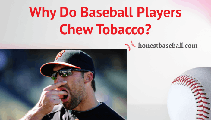 Why do baseball players chew tobacco