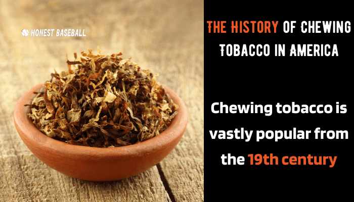 The History of Chewing Tobacco in America