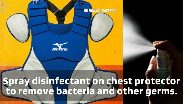 Spray disinfectant on chest protector to remove bacteria and other germs