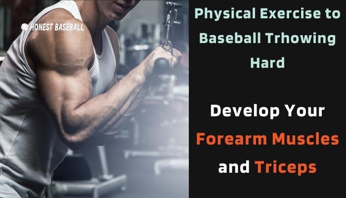 Develop Your Forearm Muscles and Triceps