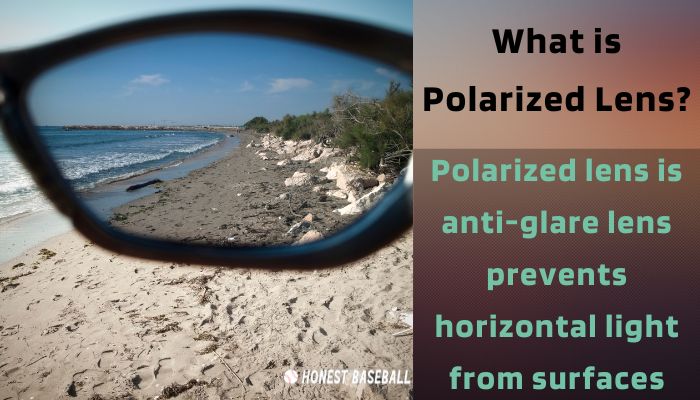 What is Polarized Lens