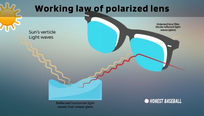 Working law of polarized lens