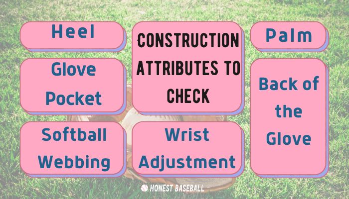 Construction attributes to check for a softball glove