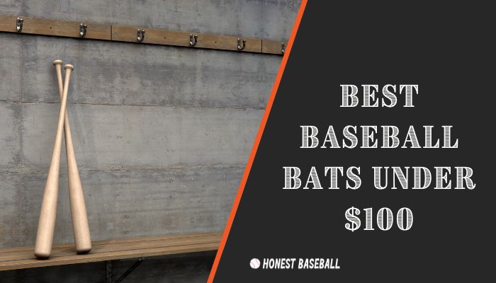 Best baseball bats under $100
