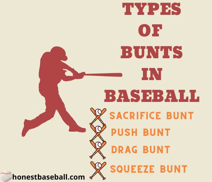 Different Bunts In Baseball