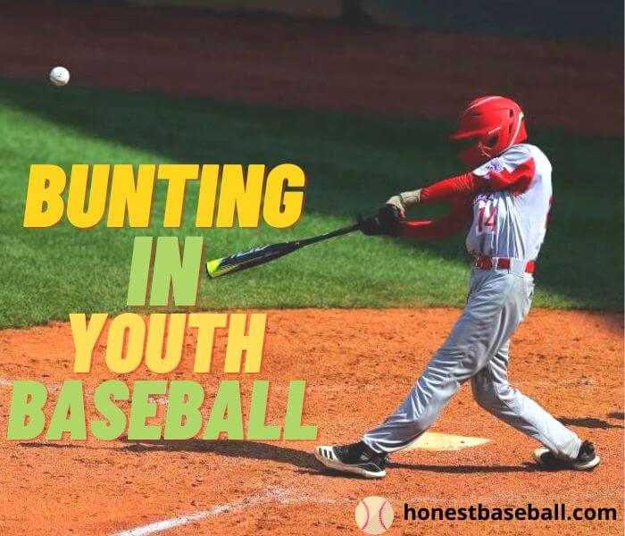 Baseball Bunt in Youth Baseball