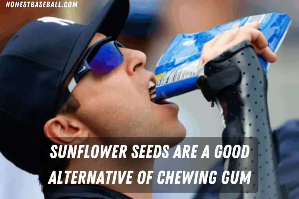 Sunflower Seeds Are a Good Alternative of Chewing Gum