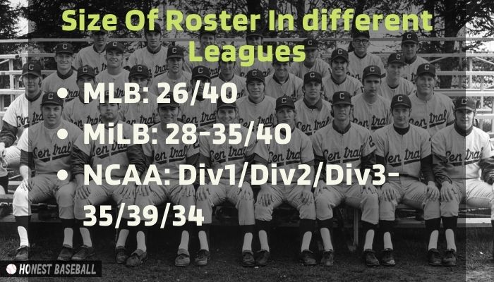 Size Of Roster In different Leagues