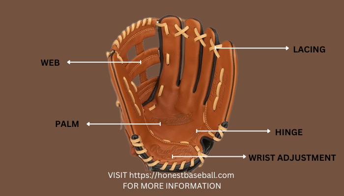 Different Parts of a Baseball Glove