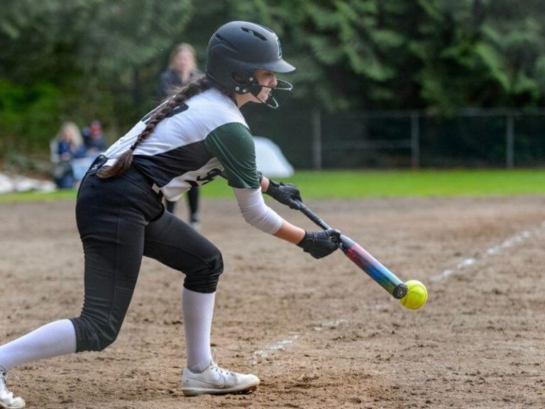 How to Choose a Softball Bat? Coach's Guide | Honest Baseball