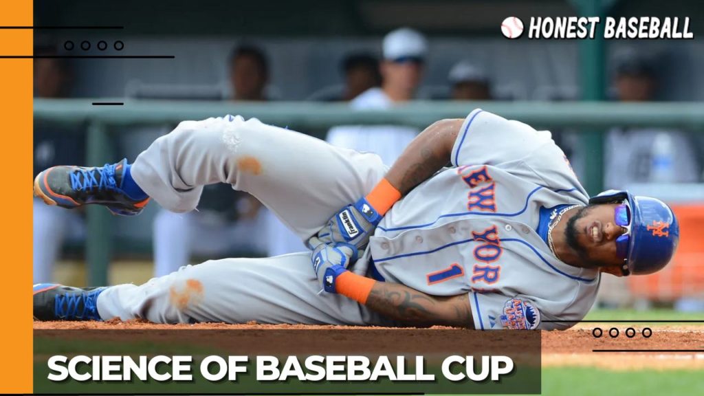 A baseball cup is worn by players to protect the genitals from injury by deflecting and absorbing impacts.