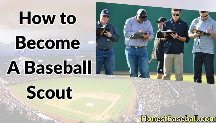 How to Become a Baseball Scout