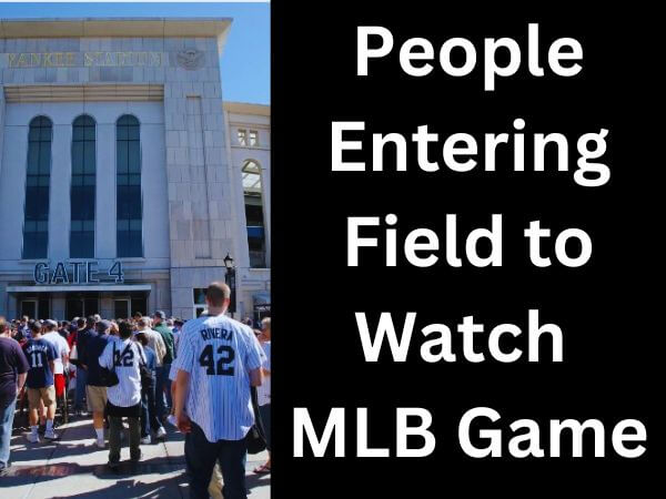 People entering the field to watch MLB game