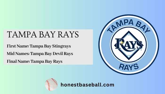 Nickname Origin of Tampa Bay Rays