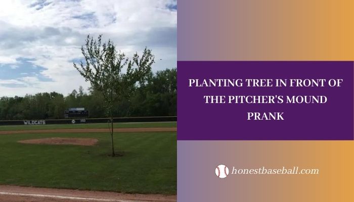 Planting Tree in Front of Pitcher's Mound Prank