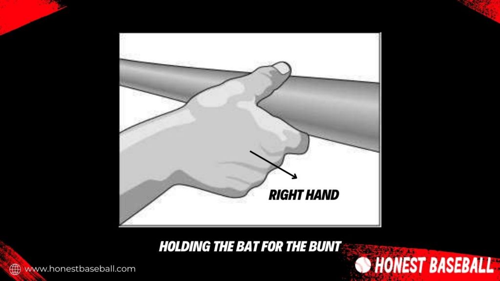 Showing how to hold the bat for the bunted baseball