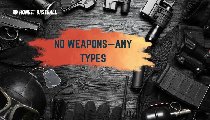 No Weapons are allowed- any types